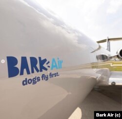 Bark Air