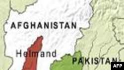 Nữ đại biểu hội đồng chính quyền Afghanistan bị thương