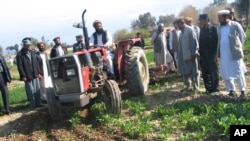 Narcotics in Afghanistan / Poppy eradication