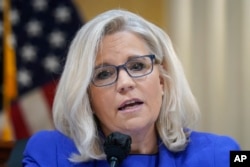 6 Ocak Komisyonu Başkan Yardımcısı Liz Cheney