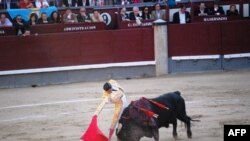 Los Torros (2)