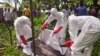 Nghiên cứu mới giúp hiểu thêm về khả năng gây tử vong của Ebola