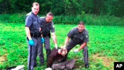 Cảnh sát bắt được David Sweat gần biên giới Canada hôm Chủ Nhật 28 tháng 6, 2015.