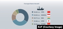 Việt Nam đứng thứ 5 thế giới về số lượng tàu cá đánh bắt ngoài khơi. (EJF)