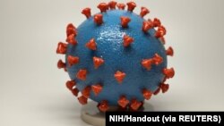 Ảnh in 3-D virus corona. Bề mặt virus màu xanh với những gai protein màu đỏ giúp virus xâm nhập và nhiễm độc tế bào con người.