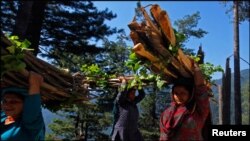 Nepalda baş verən güclü zəlzələdən sonra paytaxt Katmanduda könüllülər dağıntılar altında sağ qalanların axtarışını davam etdirir