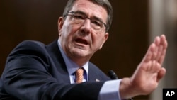 Bộ trưởng Quốc phòng Ashton Carter nói với các phóng viên rằng chương trình này cố ý khởi đầu với quy mô nhỏ.