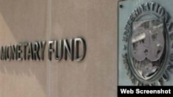 IMF LOGO