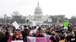 Biểu tình yêu cầu thắt chặt kiểm soát súng tại thủ đô Washington, ngày 26 tháng 1, 2013. (AP Photo/Susan Walsh)