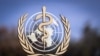 (FILES) The logo of the World Health Organization (WHO) is pictured on the facade of the WHO headquarters on October 24, 2017 in Geneva.