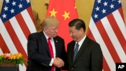 Hai ông Trump và Tập đã đồng ý đình chiến thương mại tại cuộc gặp hồi đầu tháng 12 ở Argentina