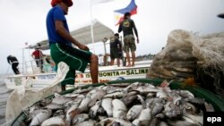 Ảnh minh họa: Ngư dân Philippines đứng bên cạnh các xô đầy cá chết ở thị trấn Rosario, tỉnh Cavite, phía nam Manila, Philippines. Nhóm KAI cáo buộc rằng họ đã tìm thấy bằng chứng các tàu đánh cá Trung Quốc đổ hóa chất xuống biển gần quần đảo Trường Sa để gây hại đến ngành công nghiệp đánh bắt cá ở Palawan.