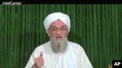 Lãnh tụ al-Qaida Ayman al-Zawahiri kêu gọi nhân dân Pakistan noi gương nổi loạn của những người Hồi Giáo tại Ai Cập và Tunisia