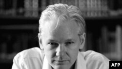 Wikipedia yöneticisi Julian Assange