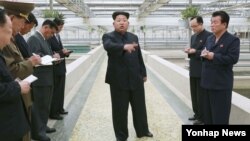 Lãnh tụ Bắc Triều Tiên Kim Jong Un đưa ra chỉ thị trong chuyến thị sát nông trại Taedonggang Terrapin.