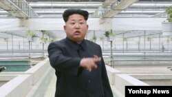 Nhà lãnh đạo Bắc Triều Tiên Kim Jong Un.