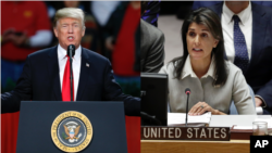 Tổng thống Mỹ Donald Trump và đại sứ Mỹ tại Liên hiệp quốc, Nikki Haley