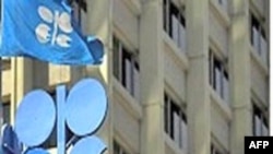 OPEC họp về số cung và giá cả