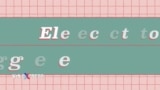 Giải mã sự khác biệt giữa phiếu bầu phổ thông và Đại cử tri đoàn 