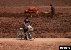 Dân chúng Bắc Triều Tiên bị thiếu hụt lương thực một cách nghiêm trọng và bị buộc phải làm việc trong những điều kiện không khác gì nô lệ.