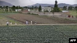 Căn nhà nơi thủ lãnh al-Qaida Osama bin Laden bị giết chết ở Abbottabad, Pakistan (hình chụp hồi tháng 5/2011)