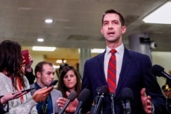 Senatör Tom Cotton