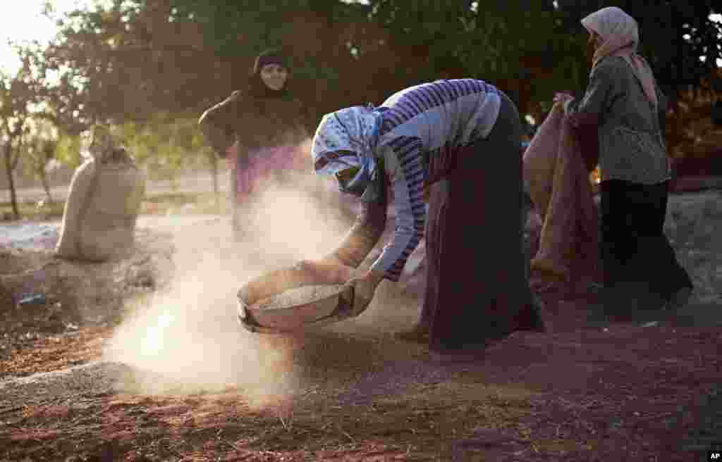 Phụ nữ l&agrave;m việc ngo&agrave;i đồng trong l&agrave;ng&nbsp;Tarafat, Syria, ng&agrave;y 14/10/2012.