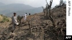 Pakistan: 3 chỉ huy hàng đầu của Taliban đã bị hạ sát