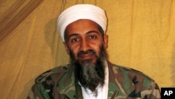 Trùm khủng bố Osama bin Laden.