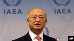 Tổng giám đốc IAEA.