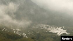 Một khu ruộng bậc thang ở Sapa, Lào Cai REUTERS/Kham 