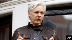 Sáng lập viên Wikileaks Julian Assange