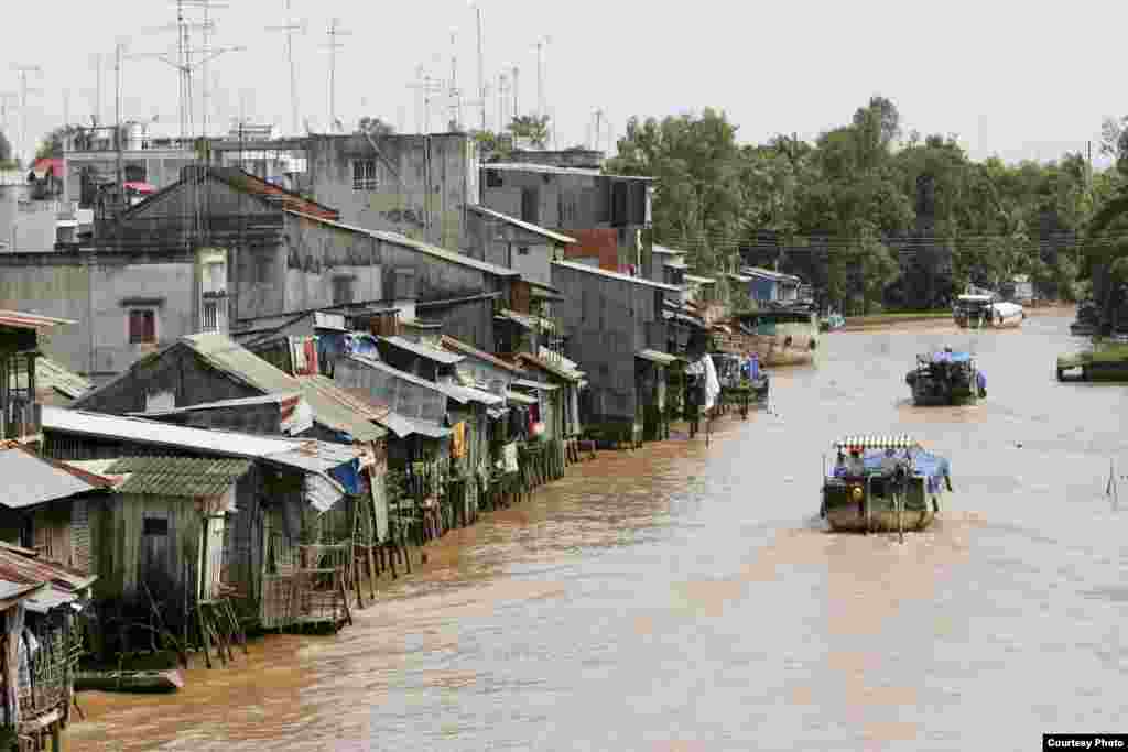 Tại khu vực châu thổ Mekong, hơn 50 phần trăm số học sinh bỏ học là các em gái. Nhiều em gái bị mắc kẹt trong vòng luẩn quẩn của sự nghèo đói, mù chữ, và bệnh tật. Học bổng của nhà tài trợ Estee Lauder cho các em gái một cơ hội để thoát khỏi hoàn cảnh này và có một cuộc sống tốt đẹp hơn. (Ảnh: Asia Foundation)