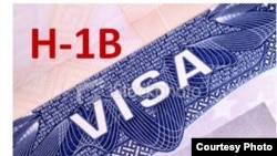 Visa cho người không định cư H-1B cho phép các công ty Mỹ thuê mướn nhân công có trình độ sau đại học sang làm việc trong các lĩnh vực chuyên môn hóa, bao gồm công nghệ thông tin, y dược, kỹ sư và toán học.