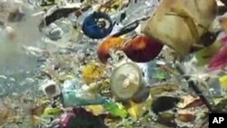 Plastics in Oceans: More Damaging Than Climate Change