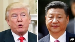 Tổng thống Donald Trump và Chủ tịch Trung Quốc Tập Cận Bình có cuộc điện đàm đầu tiên trong tháng này.