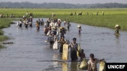 Người tị nạn Rohingya.