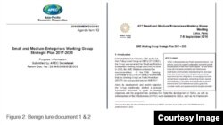 Các tệp tin nhiễm độc mà hacker Trung Quốc gửi cho các quan chức chính phủ Việt Nam, được FireEye phát hiện, nhằm thu thập thông tin về chính sách thương mại để có lợi thế trong các cuộc thương lượng sắp tới.