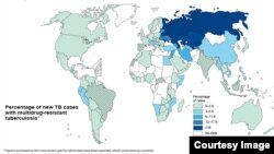 Phần trăm các ca nhiễm lao kháng nhiều thuốc trên toàn thế giới