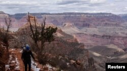 Grand Canyon Ulusal Milli Parkı'nın en çok bilinen yürüyüş patikalarından biri olan Bright Angel'da yürüyen bir turist.