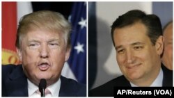 Ông Donald Trump và Thượng nghị sĩ Ted Cruz hô hào cho việc áp dụng những sự hạn chế đối với người Syria tị nạn.