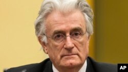 Cựu lãnh tụ người Serbia ở Bosnia Radovan Karadzic.