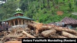 Dân làng đứng trên thân cây sau khi lũ quét qua làng Muara Saladi, ở Mandailing Natal, tỉnh Bắc Sumatra, Indonesia, ngày 13 tháng 10, 2018. (Antara Foto/Holik Mandailing)