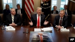 Tổng thống Donald Trump, với một tấm poster hình của ông đặt trên bàn họp, phát biểu trong một cuộc họp nội các ở Nhà Trắng, Washington, ngày 2 tháng 1, 2019. 