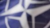 NATO Flag (File)