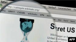 Wikileaks nói trang web của họ bị tấn công