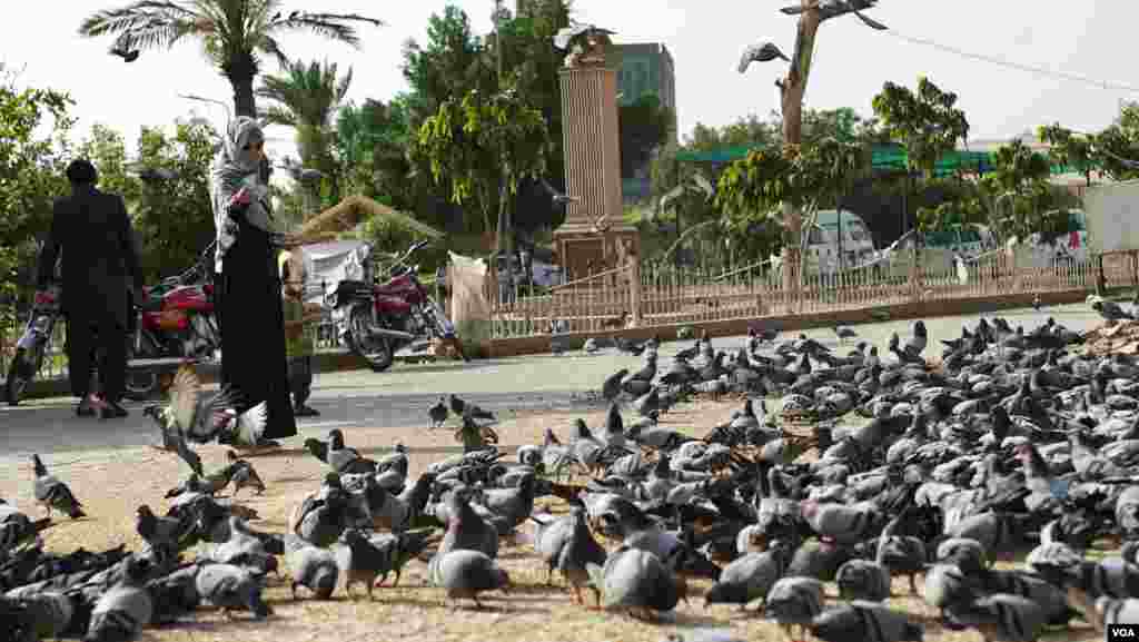 محمد فاروق لوگوں سے پیسے لے کر خود دانا ڈال دیتے ہیں تو کبھی گاہک اپنے ہاتھ سے دانا ڈالنے کو ترجیح دیتے ہیں۔ &nbsp;