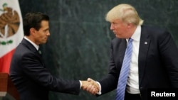 Donald Trump đi thăm Mexico theo lời mời của Tổng thống Mexico Enrique Pena Nieto.