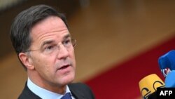 Hollanda Başbakanı Mark Rutte