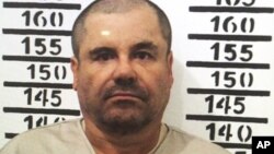 Trùm ma túy Mexico Joaquin "El Chapo" Guzman.